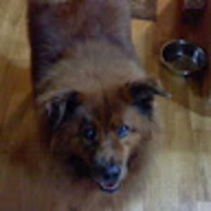 Meet your Posher, Sonya l.